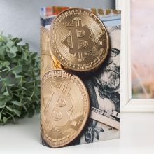 Seyf-kitab gizli yer "Bitcoin və Dollar"